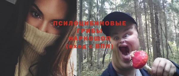 круглые Инсар