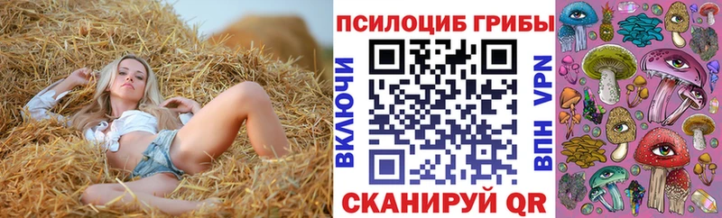 Купить закладки  Калач  Галлюциногенные грибы Psilocybine cubensis 